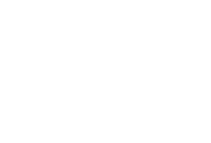 logo-white
